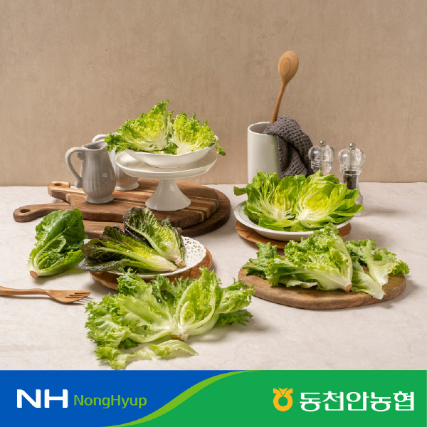 [천안시농협] 유럽샐러드 채소 1kg 3-4종 랜덤 발송
